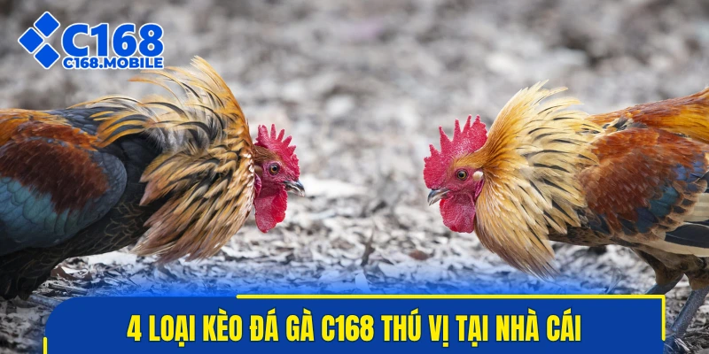 4 loại kèo đá gà C168 thú vị tại nhà cái
