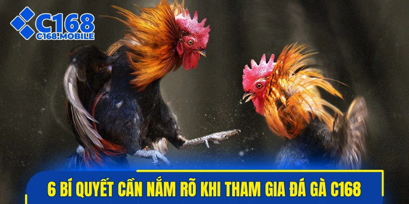 6 bí quyết cần nắm rõ khi tham gia đá gà C168