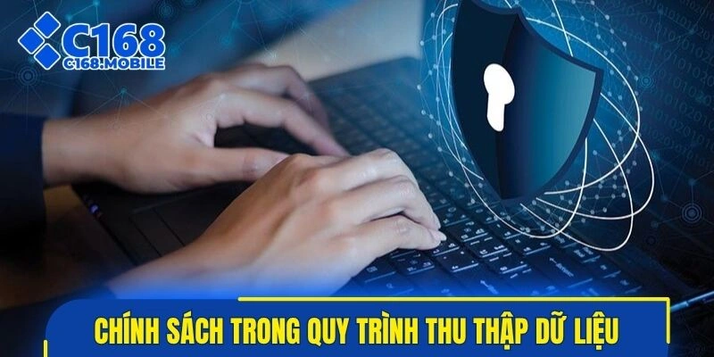 Làm rõ chính sách bảo mật trong quy trình thu thập dữ liệu